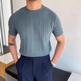 TRYESS 2024 Summer Men Knit Ice silk T shirts High Quality Solid Color Stripe Short sleeve O-neck Tee Tops Mens Thin Slim Fit T-Shirts