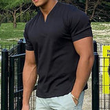 TRYESS- Men's T shirt Tee Plain V Neck Casual Holiday Short Sleeve Clothing Apparel Sports Fashion Lightweight Muscle