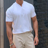 TRYESS- Men's T shirt Tee Plain V Neck Casual Holiday Short Sleeve Clothing Apparel Sports Fashion Lightweight Muscle