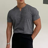 TRYESS- Men's T shirt Tee Plain V Neck Casual Holiday Short Sleeve Clothing Apparel Sports Fashion Lightweight Muscle