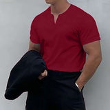 TRYESS- Men's T shirt Tee Plain V Neck Casual Holiday Short Sleeve Clothing Apparel Sports Fashion Lightweight Muscle