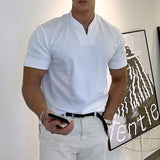 TRYESS- Men's T shirt Tee Plain V Neck Casual Holiday Short Sleeve Clothing Apparel Sports Fashion Lightweight Muscle