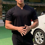 TRYESS- Men's T shirt Tee Plain V Neck Casual Holiday Short Sleeve Clothing Apparel Sports Fashion Lightweight Muscle